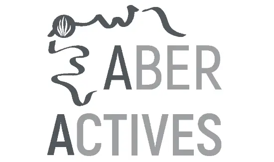 rh-mobilite-cabinet-conseil-ressources-humaines-rh-daoulas-guipavas-brest-quimper-client-aber-actives